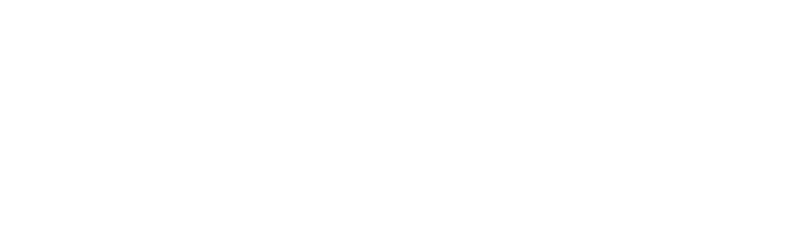 Brandlytics White Logo